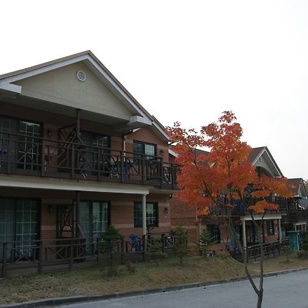 Hwangto Green Village Pension Yongin Zewnętrze zdjęcie