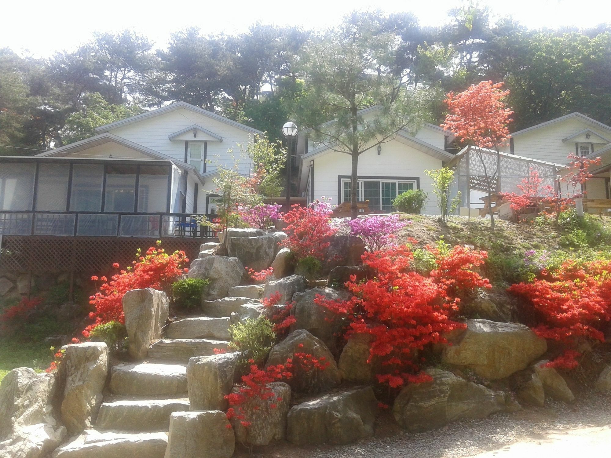 Hwangto Green Village Pension Yongin Zewnętrze zdjęcie